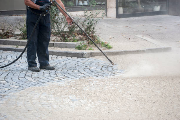 Animal Enclosure Cleaning in Eastpointe, MI